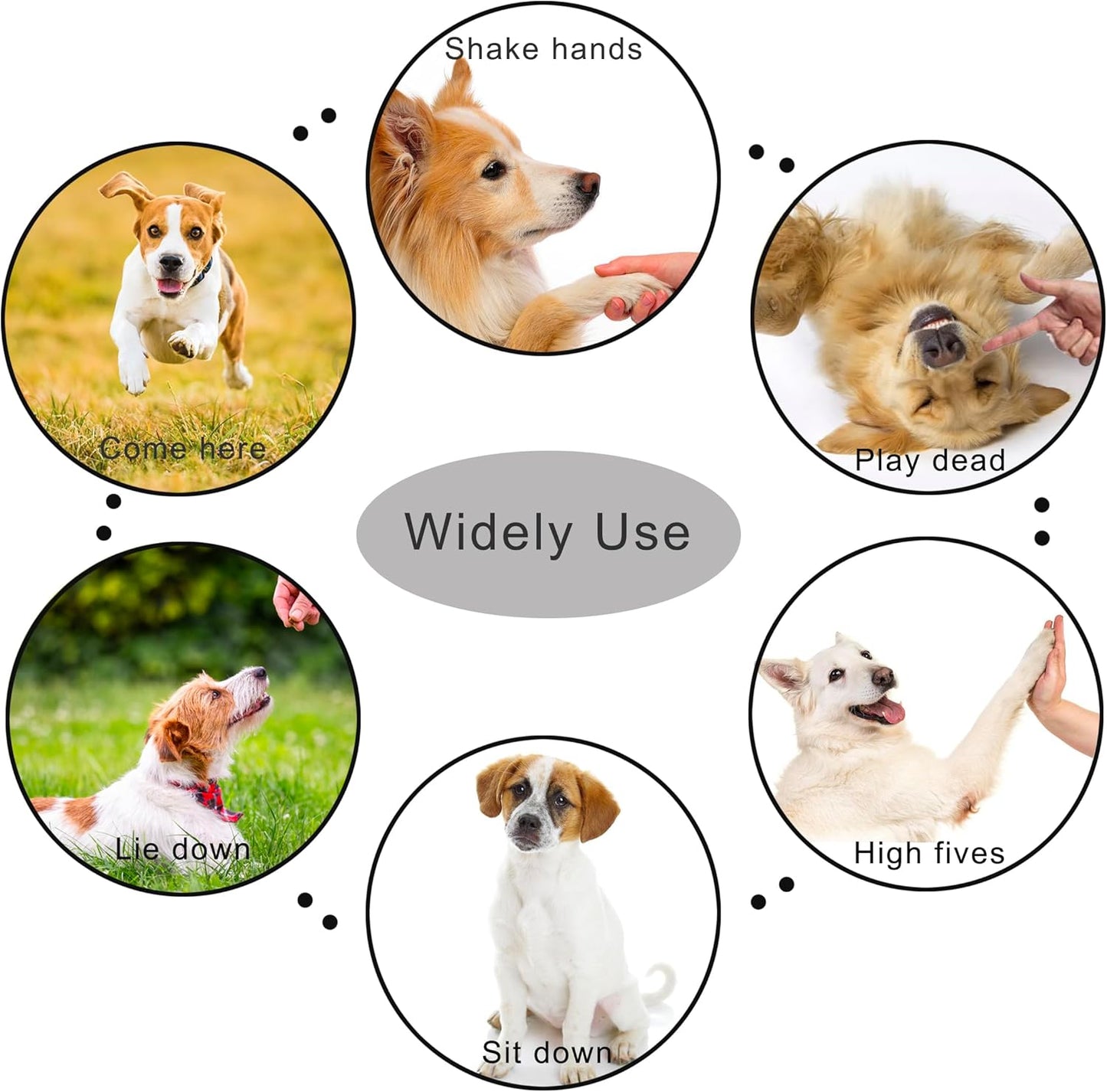Game-Changer for Pet Parents - Train Any Pet in Seconds (Pet Clicker for Training Dogs/Cats)