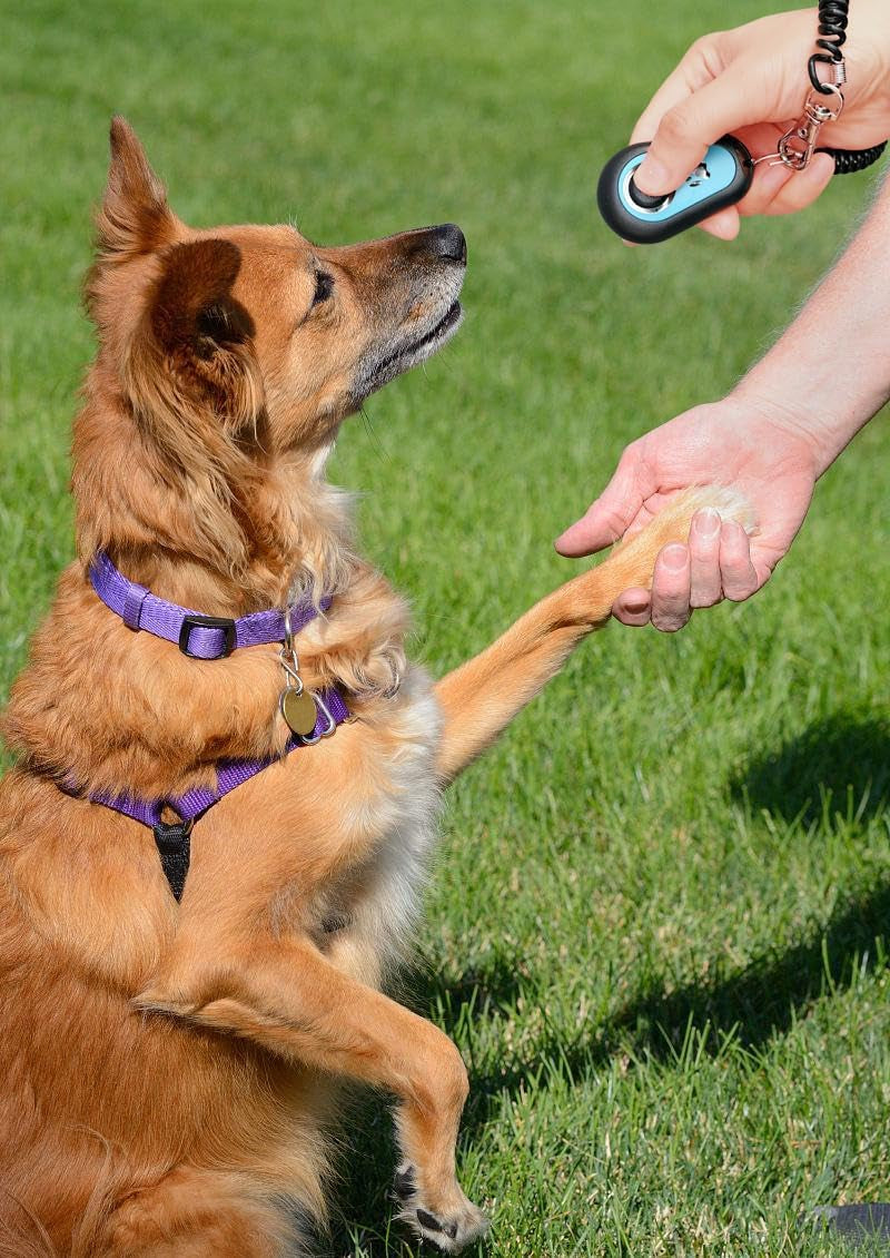 Game-Changer for Pet Parents - Train Any Pet in Seconds (Pet Clicker for Training Dogs/Cats)