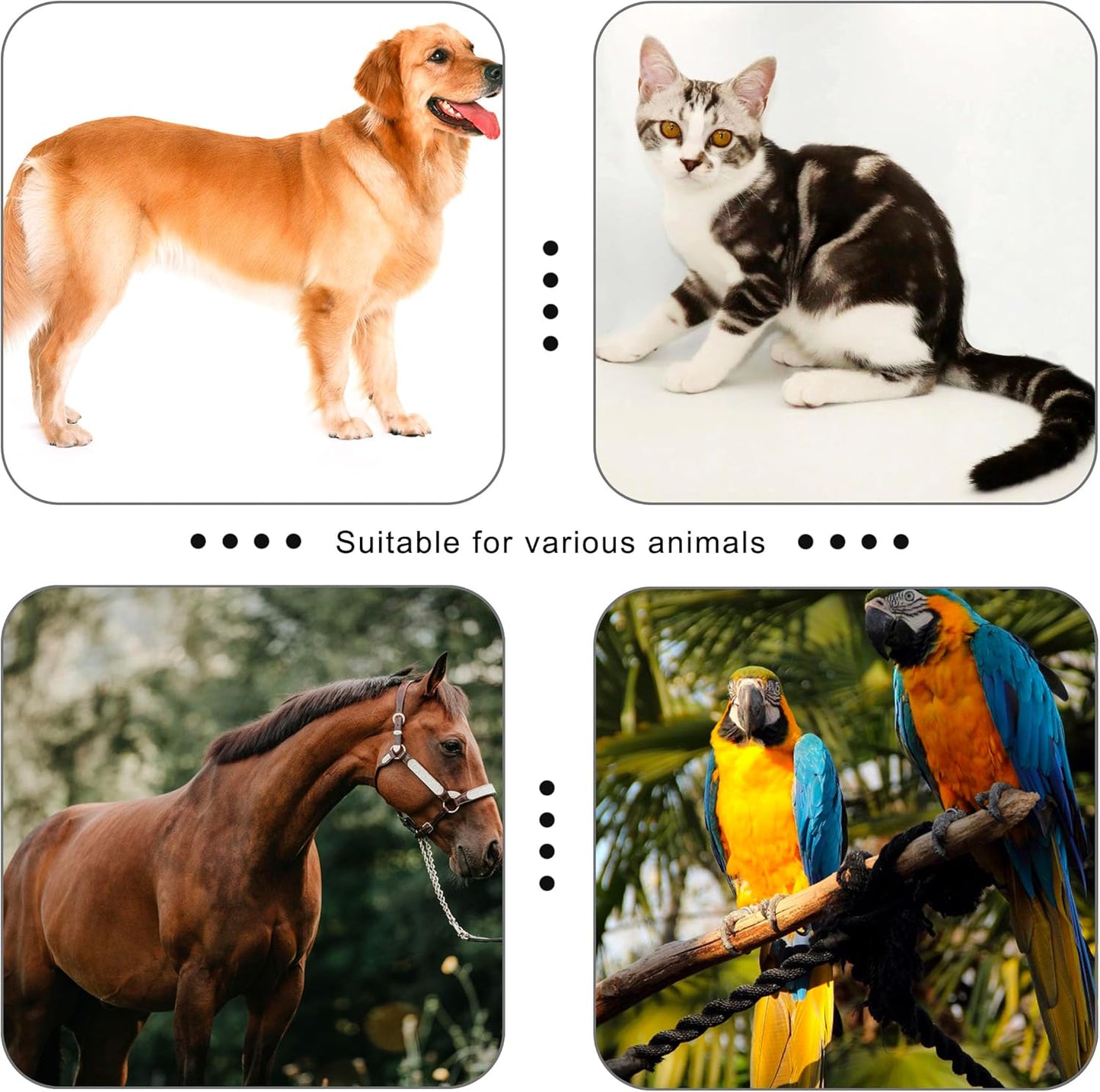 Game-Changer for Pet Parents - Train Any Pet in Seconds (Pet Clicker for Training Dogs/Cats)