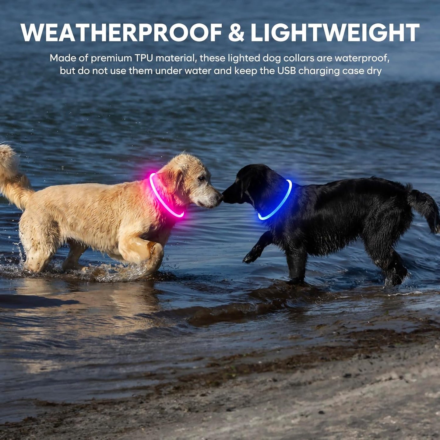 Light Up LED Dog Collar - Glow in the Dark, Waterproof, TPU Adjustable Safety Collar for Night Walks, Dogs & Pets