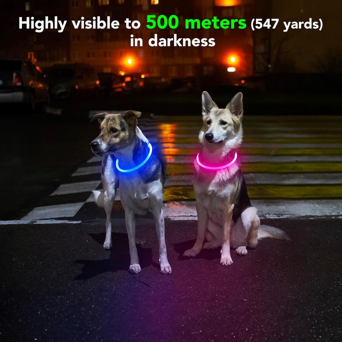 Light Up LED Dog Collar - Glow in the Dark, Waterproof, TPU Adjustable Safety Collar for Night Walks, Dogs & Pets