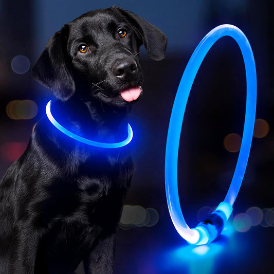 Light up LED Dog Collar - USB Rechargeable, Waterproof, TPU Safety Collar for Night Walks (Adjustable for All Dog Sizes)