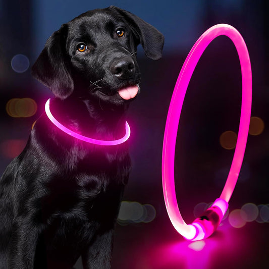 Light Up LED Dog Collar - Glow in the Dark, Waterproof, TPU Adjustable Safety Collar for Night Walks, Dogs & Pets