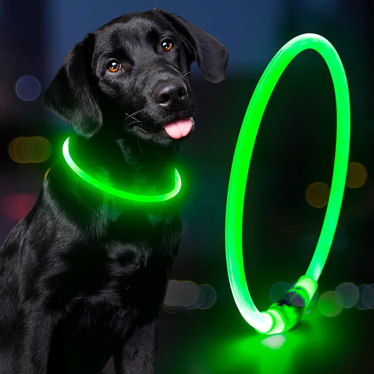 Light up LED Dog Collar - USB Rechargeable, Waterproof, TPU Safety Collar for Night Walks (Adjustable for All Dog Sizes)