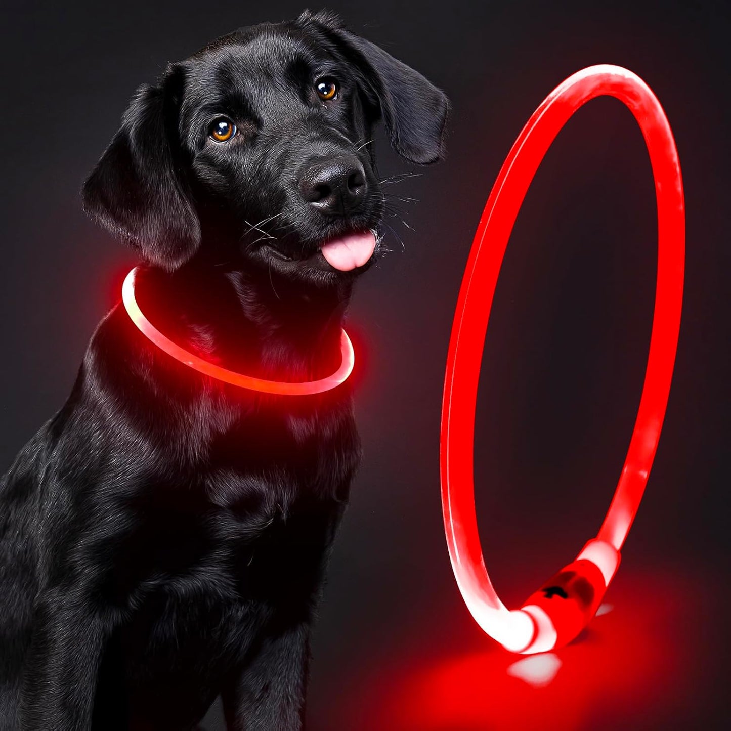 Light up LED Dog Collar - USB Rechargeable, Waterproof, TPU Safety Collar for Night Walks (Adjustable for All Dog Sizes)